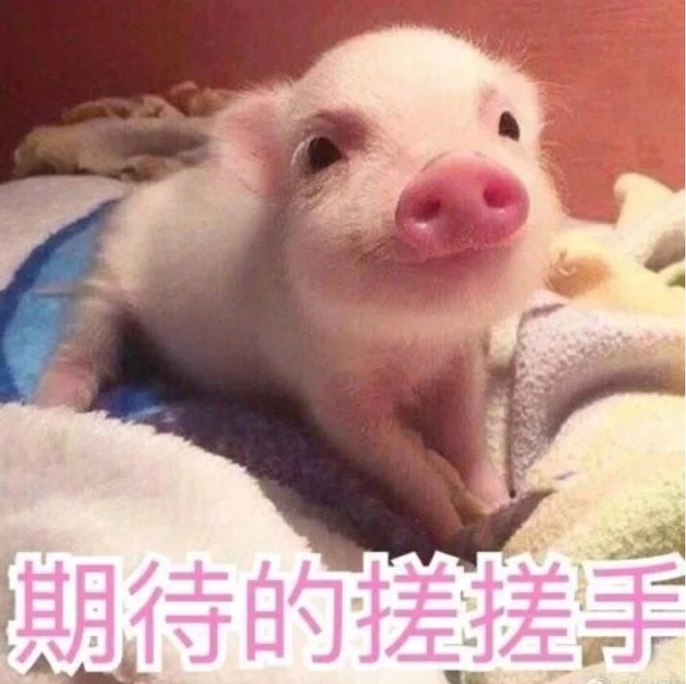 杏彩体育注册_杏彩体育(中国)官方网站